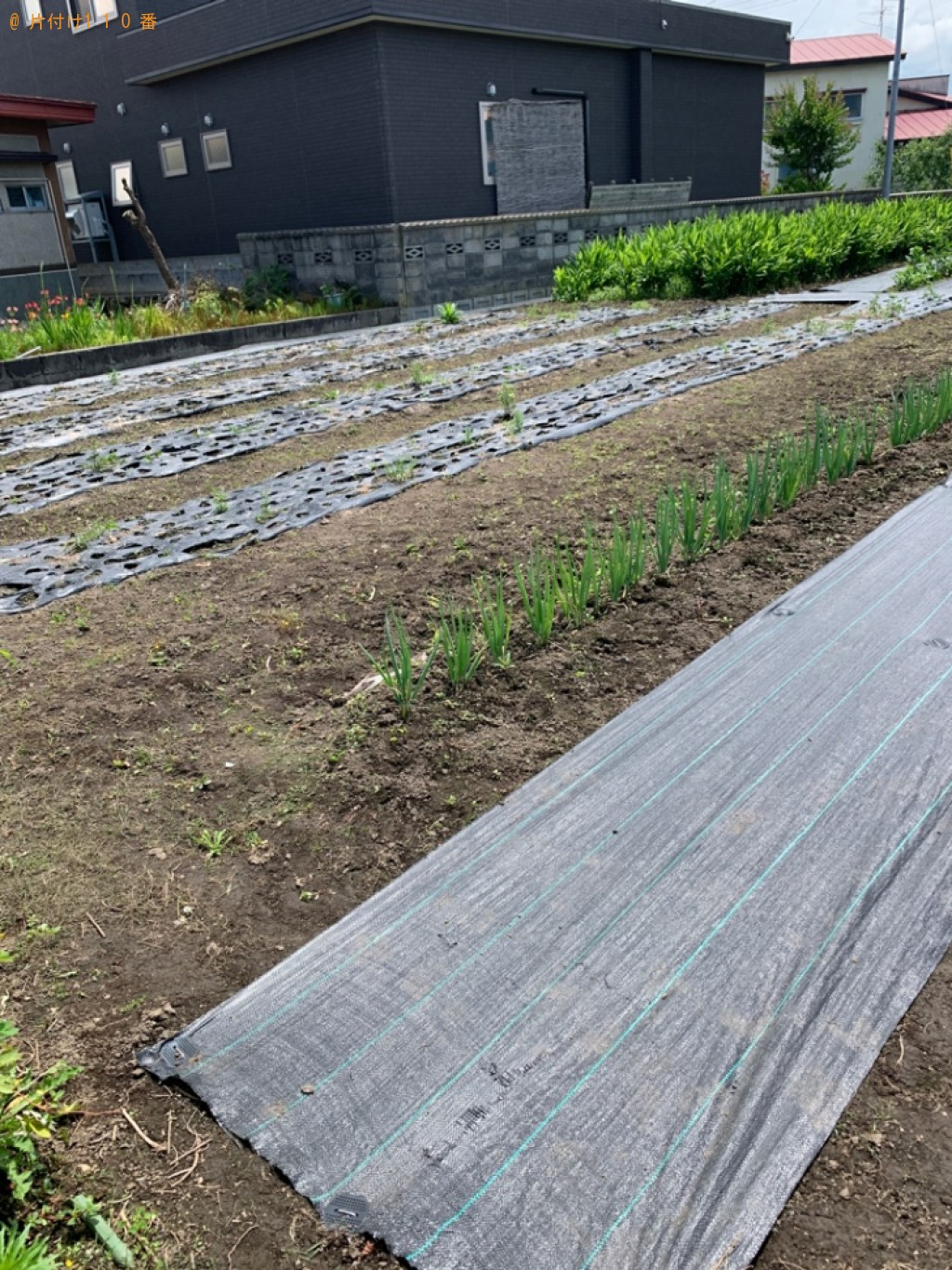 【平川市】木材の回収・処分と草刈り作業ご依頼　お客様の声