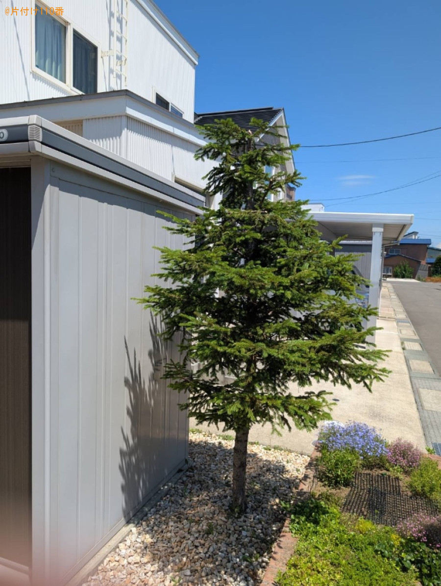 【青森市】木の剪定作業ご依頼　お客様の声
